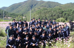 2013년 구절초 축제 썸네일 이미지