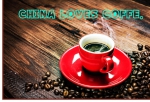 중국인이 차보다 커피를 좋아한다? (명사특강) 썸네일 이미지