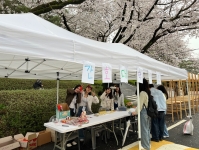 2024년 4월 4일 한마음 페스티벌(벚꽃축제), 4월 9일 간식사업