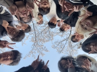 '프레임(Frame)' 봄맞이 벚꽃놀이~(2026.04.02.) 썸네일 이미지